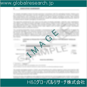 グローバルリサーチ調査資料のイメージ